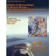 RI0265. Seismic Sedimentology by Stratal Slicing--A Case History in the Mioceno Norte Area, Lake Maracaibo, Venezuela