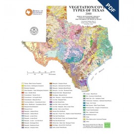 Vegetation/Cover Types of Texas. Page Sized. Digital Download