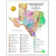 SM0008P. Vegetation/Cover Types of Texas Map (poster)