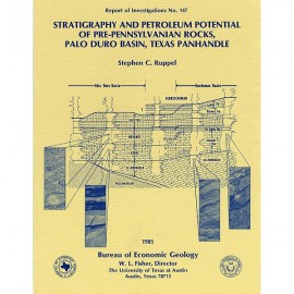 Stratigraphy and Petroleum Potential of Pre-Pennsylvanian Rocks, Palo Duro Basin, Texas Panhandle