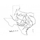 RI0033. Pleistocene Equidae of Texas