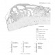 RI0100. Catahoula Formation of the Texas Coastal Plain: Origin, Geochemical Evolution, and Characteristics of Uranium Deposits