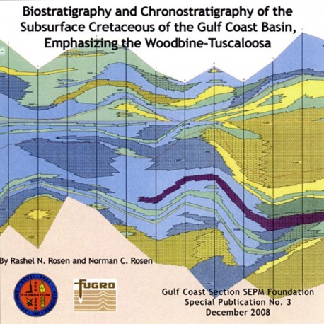 GCS 213. Biostratigraphy and Chronostratigraphy of the Subsurface Cretaceous of the Gulf Coast Basin...