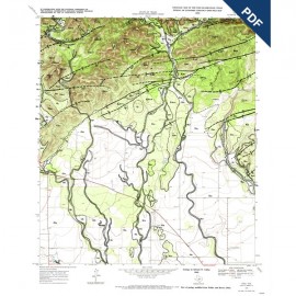 OFM0079D. Trio quadrangle, Texas - Downloadable PDF