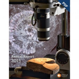 Annual Report 2015. Digital Download