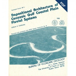Depositional Architecture of Cenozoic Gulf Coastal Plain Fluvial Systems. Digital Download