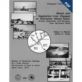 GC8505D.  Beach and Vegetation-Line Changes at Galveston Island, Texas: Erosion, Deposition, and Recovery from Hurricane Alicia