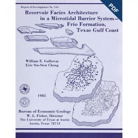 Reservoir Facies Architecture in... Frio Formation, Texas Gulf Coast. Digital Download