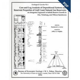 Core and Log Analyses of Depositional Systems and Reservoir Properties ... Sandstones. Digital Download