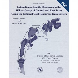 GC9101D. Estimation of Lignite Resources in Wilcox Group of Central and East Texas Using...National Coal Resources Data System