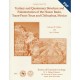 GC9102D. Tertiary and Quaternary Structure and Paleotectonics of the Hueco Basin...Downloadable PDF.