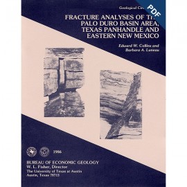 Fracture Analyses of the Palo Duro Basin..., Texas Panhandle and Eastern New Mexico. Digital Download