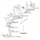 GC7502D. Shoreline Changes...Brazos Island and South Padre Island... - Downloadable PDF
