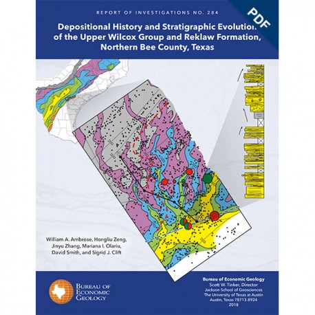 RI0284D.Depositional History and...Evolution of the..Wilcox Group and Reklaw Formation,...Bee County, Texas - Downloadable PDF.