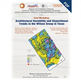 SW0022D. Architectural Variability and Depositional Trends in the Wilcox Group in Texas