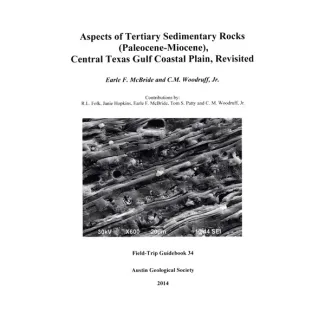 Aspects of Tertiary Sedimentary Rocks (Paleocene-Miocene), Central Texas Gulf Coast Plain, Revisited
