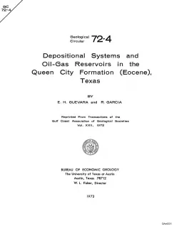 Depositional systems and oil-gas reservoirs in the Queen City Formation (Eocene), Texas