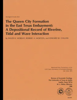 The Queen City Formation in the East Texas embayment:  a developmental record of riverine, tidal and wave interaction
