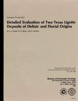 Detailed evaluation of two Texas lignite deposits of deltaic and fluvial origins
