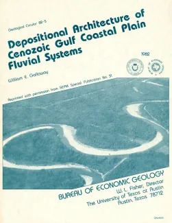 Depositional architecture of the Cenozoic Gulf coastal plain fluvial systems