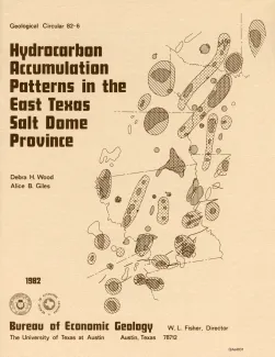 Hydrocarbon accumulation patterns in the east Texas salt dome province