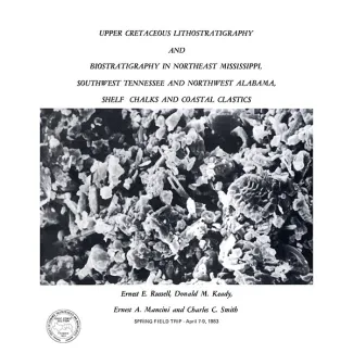 Upper Cretaceous Lithostratigraphy and Biostratigraphy in
