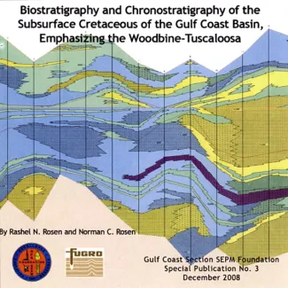 Biostratigraphy and Chronostratigraphy of the Subsurface Cretaceous of the Gulf Coast Basin