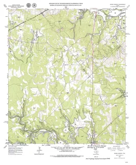 Geologic map of the Spring Branch Quadrangle, Texas