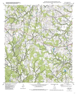 Geologic map of the Paige quadrangle, Texas