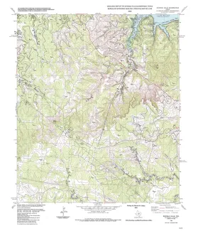 Geologic map of the Shingle Hills quadrangle, Texas
