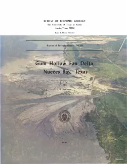 Gum Hollow fan delta, Nueces Bay, Texas