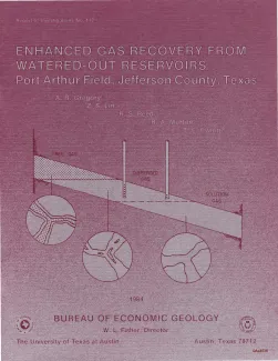Enhanced gas recovery from watered-out reservoirs -- Port Arthur Field, Jefferson County, Texas