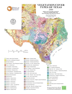 Vegetation/Cover Types of Texas