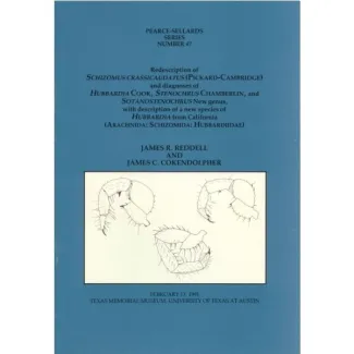 Redescription of Schizomus crassicaudatus (Pickard-Cambridge) and Diagnoses of