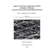 Aspects of Tertiary Sedimentary Rocks (Paleocene-Miocene), Central Texas Gulf Coast Plain, Revisited