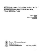 Reference high-resolution correlation cross sections, Paleogene section, Texas coastal plain