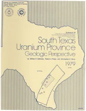 South Texas uranium province -- geologic perspective