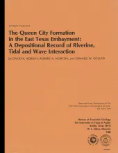 The Queen City Formation in the East Texas embayment:  a developmental record of riverine, tidal and wave interaction