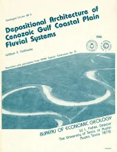 Depositional architecture of the Cenozoic Gulf coastal plain fluvial systems