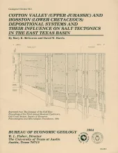 Cotton Valley (Upper Jurassic) and Hosston (Lower Cretaceous) depositional systems and their influence on salt tectonics in the east Texas basin