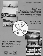 Beach and vegetation-line changes at Galveston Island, Texas:  erosion, deposition, and recovery from Hurricane Alicia
