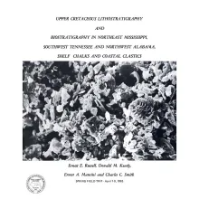 Upper Cretaceous Lithostratigraphy and Biostratigraphy in