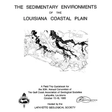 The sedimentary environments of the Louisiana Coastal Plain