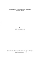 Limestone on Damon Mound, Brazoria County, Texas