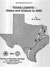 Texas lignite -- status and outlook to 2000