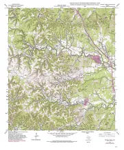 Geologic map of the Ranger Creek Quadrangle, Texas