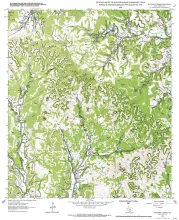 Geologic map of the Whitworth Ranch quadrangle, Texas