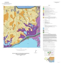 Geologic map of the Palacios NE quadrangle, Texas Gulf of Mexico Coast