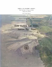 Gum Hollow fan delta, Nueces Bay, Texas