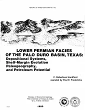 Lower Permian facies of the Palo Duro basin, Texas:  depositional systems, shelf-margin evolution, paleogeography, and petroleum potential